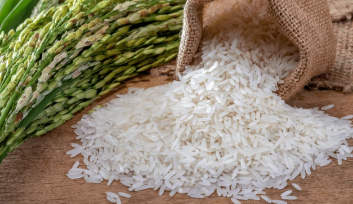 Xuất khẩu gạo Việt Nam trong quý 1/2024 đạt mức sản lượng cao nhất trong 8 năm trở lại đây, kể cả thời điểm trước dịch.